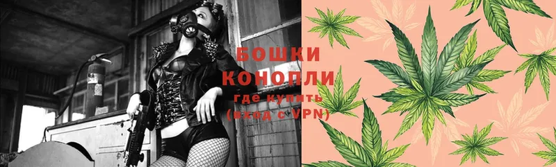 где можно купить   Ипатово  МАРИХУАНА SATIVA & INDICA 